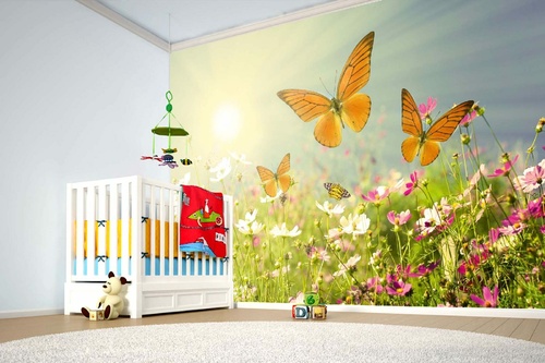 Vlies Fototapete - Feld mit Schmetterlingen 375 x 250 cm